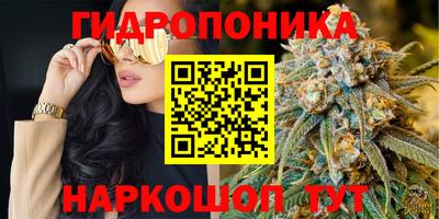 дурь Тара