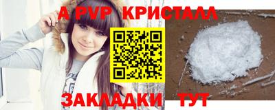 стаф Тверь